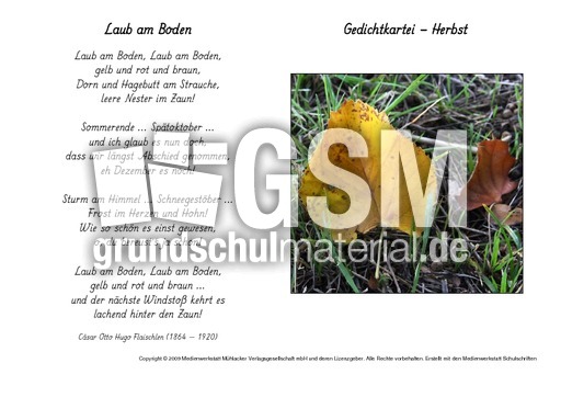 Laub-am-Boden-Flaischlen.pdf
